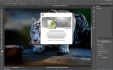 Adobe Photoshop CC 2014 Portable 500 МБ