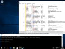 Microsoft Windows 10 MSDN RUS