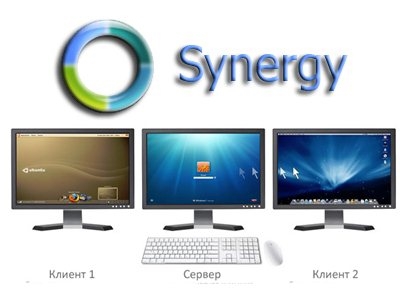 Synergy torrent