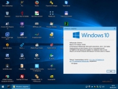 Windows 10 PE (x86)