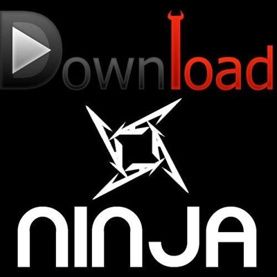 Ninja Download Manager Free