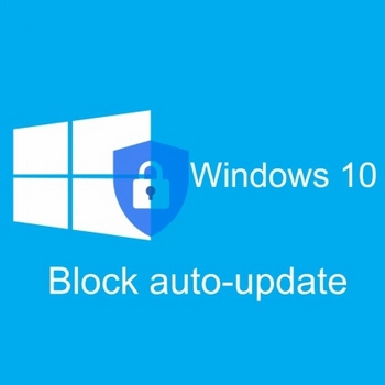 Block auto-update