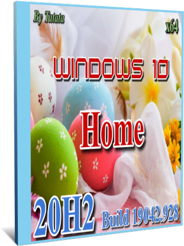 Windows 10 Home 20H2 x64