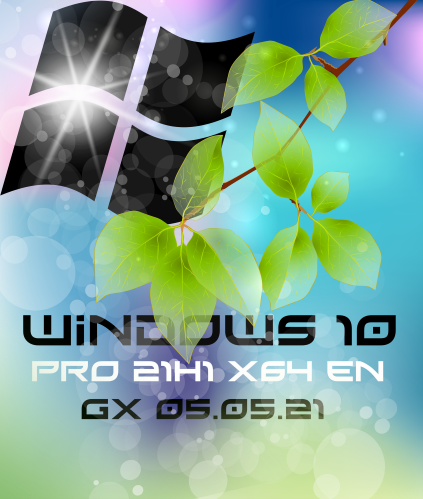 Windows 10 PRO 21H1 x64 EN [GX]