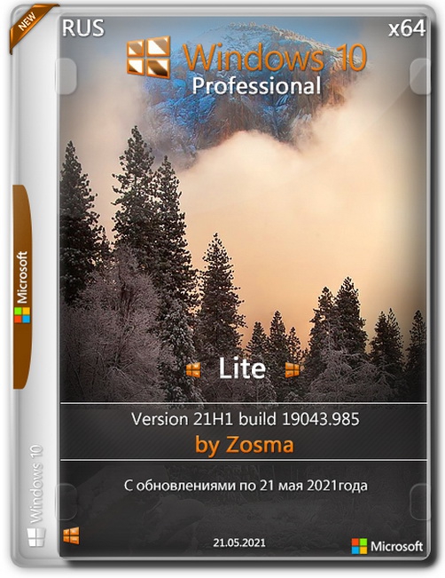 Windows 10 Pro x64 Lite 21H1
