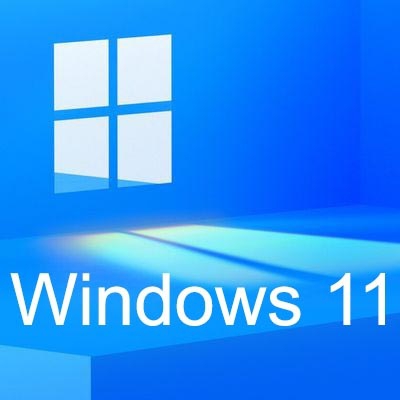 Windows 11 Dev OS x64