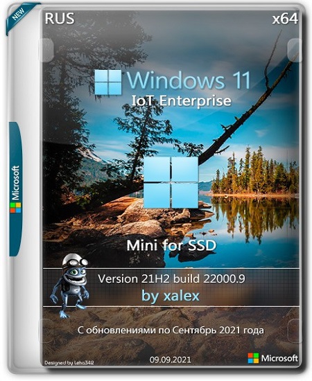 Windows 11 IoT Enterprise x64 Mini 21H2 for SSD