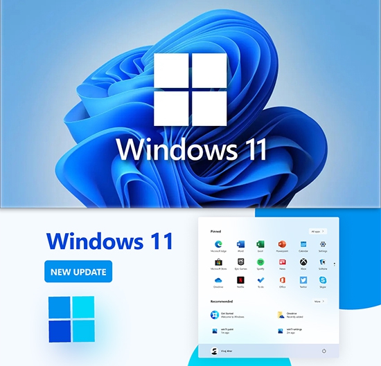 Windows 11 Insider Preview x64 + FIX