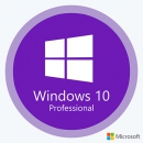 Windows 10 Pro 21H1 x64 ru