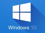Microsoft Windows 10 Professional Version 21H1