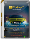 Windows 11 Pro x64 Micro 22H2