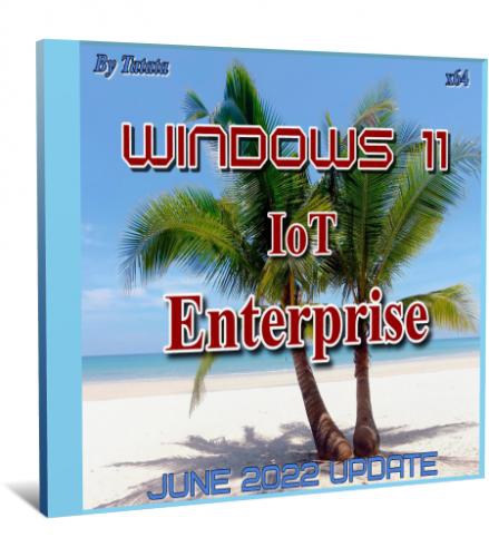Windows 11 IoT Enterprise 21H2 x64