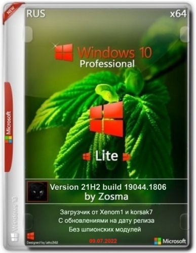 Windows 10 Pro x64 Lite 21H2