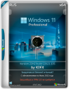 Windows 11 Pro 22H2 + Встроенный Proxy