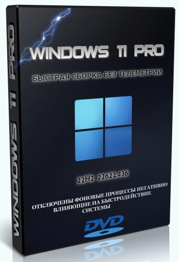 Windows 11 Pro + OpenVPN
