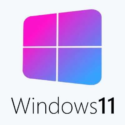 Windows 11 Pro 21H2 x64
