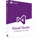 Microsoft Visual Studio 2022 Professional