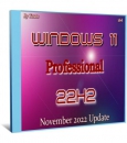 Windows 11 Professional 22H2 x64