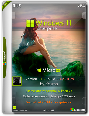 Windows 11 Enterprise x64 Micro 22H2