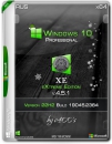 Windows 10 Professional 22H2 x64 XE