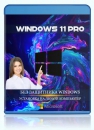 Windows 11 Pro 22H2 no Defender