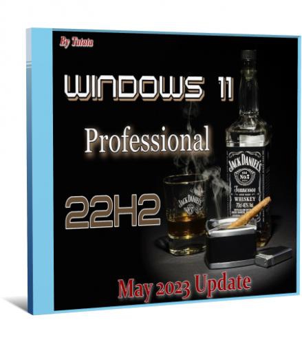 Windows 11 Professional 22H2 x64 (Eng)