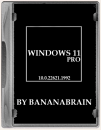 Windows 11 Pro 22H2 x64