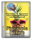 Pineapple Pictures Portable
