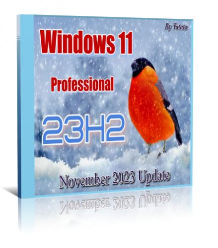Windows 11 Professional 23H2 x64 (Ru)