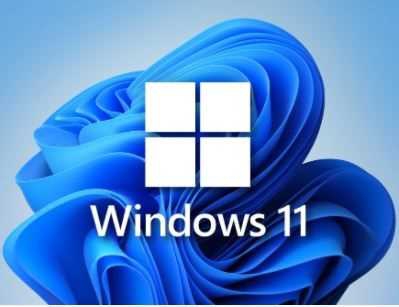 Windows 11 16in1 +/- Office 2019