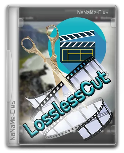 LosslessCut Standalone x64
