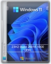 Windows 11 Pro 23H2 (Canary)