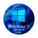 Windows 11 23H2 Professional