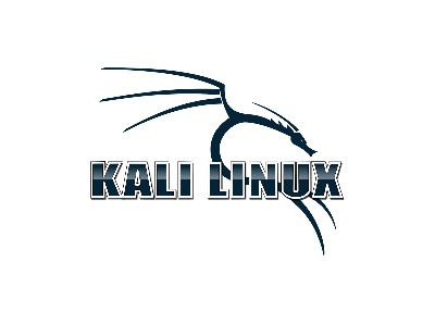Kali Linux (amd64, i386, arm64) 11xDVD