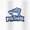 Wireshark x64