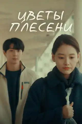 Цветы плесени 2023 (1920x804)
