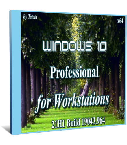 Windows 10 Professional for Workstations 21H1 x64