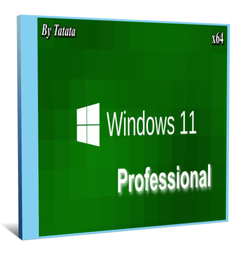 Windows 11 Professional x64 EN