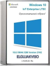 Microsoft Windows 10 IoT Enterprise LTSC x64