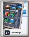 Adobe Bridge 2024