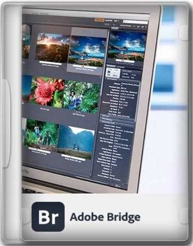 Adobe Bridge 2024 x64 Portable