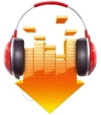 DLNow Video Downloader