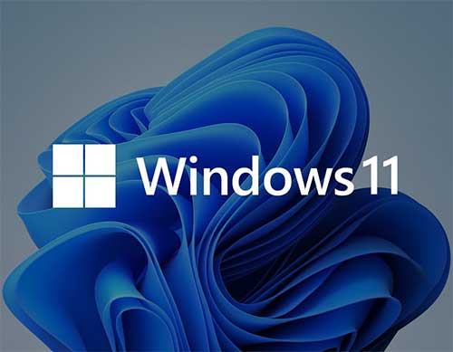 Windows 11 26h1 STORE (24in1)