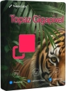 Topaz Gigapixel
