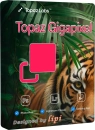 Topaz Gigapixel Pro + models Portable